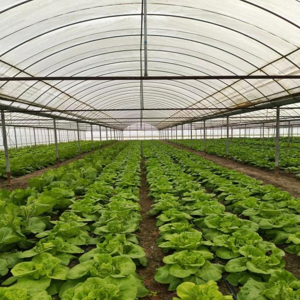 4eacdf111a0e5693da14a8ac1e7df208.png 4eacdf111a0e5693da14a8ac1e7df208.png